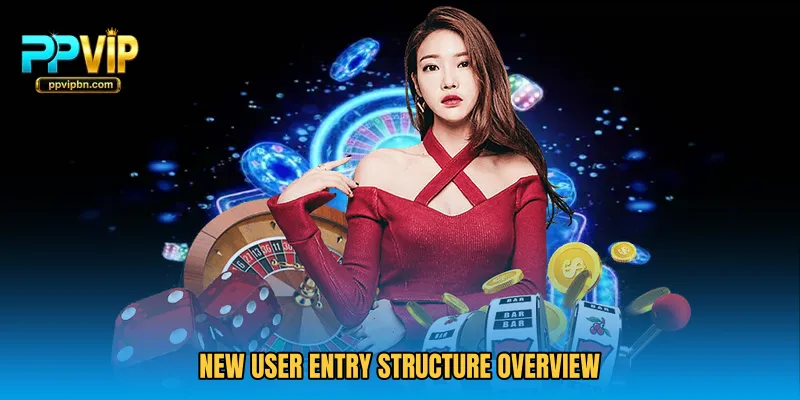 New user entry structure overview